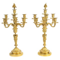 Pair of 7-Branch Candelabra in Gilded Bronze, 19th Century, Napoleon III Period.