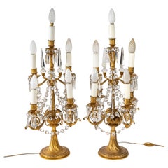 Pair of 7-Light Gilt Bronze Girandoles, 19th Century
