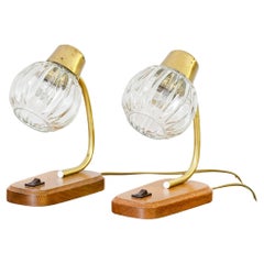 Pair of Abat-Jours by Paul Neuhaus