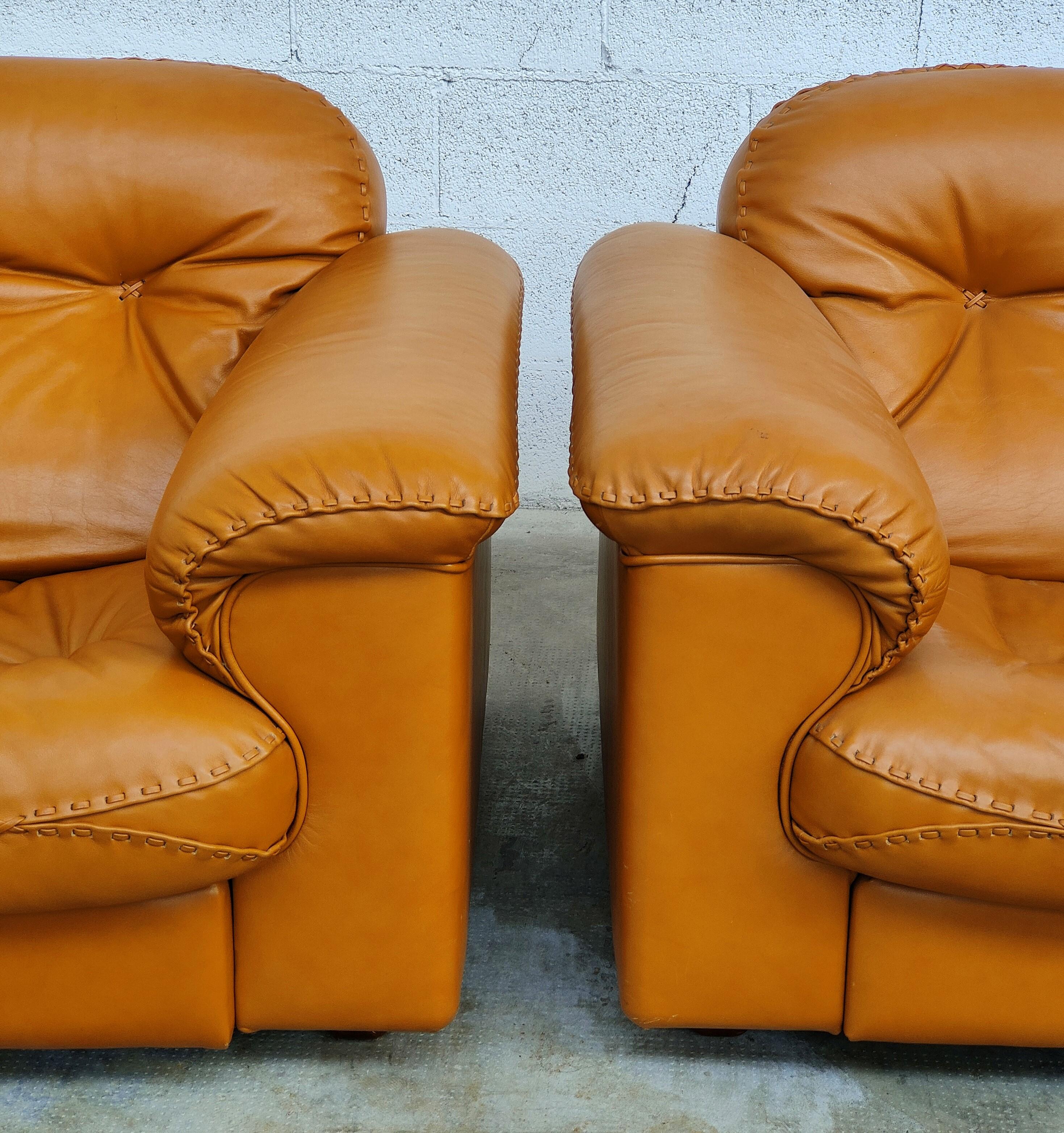 Mid-Century Modern Pair of Adjustable De Sede Leather Armchairs DS-101 Model 70s