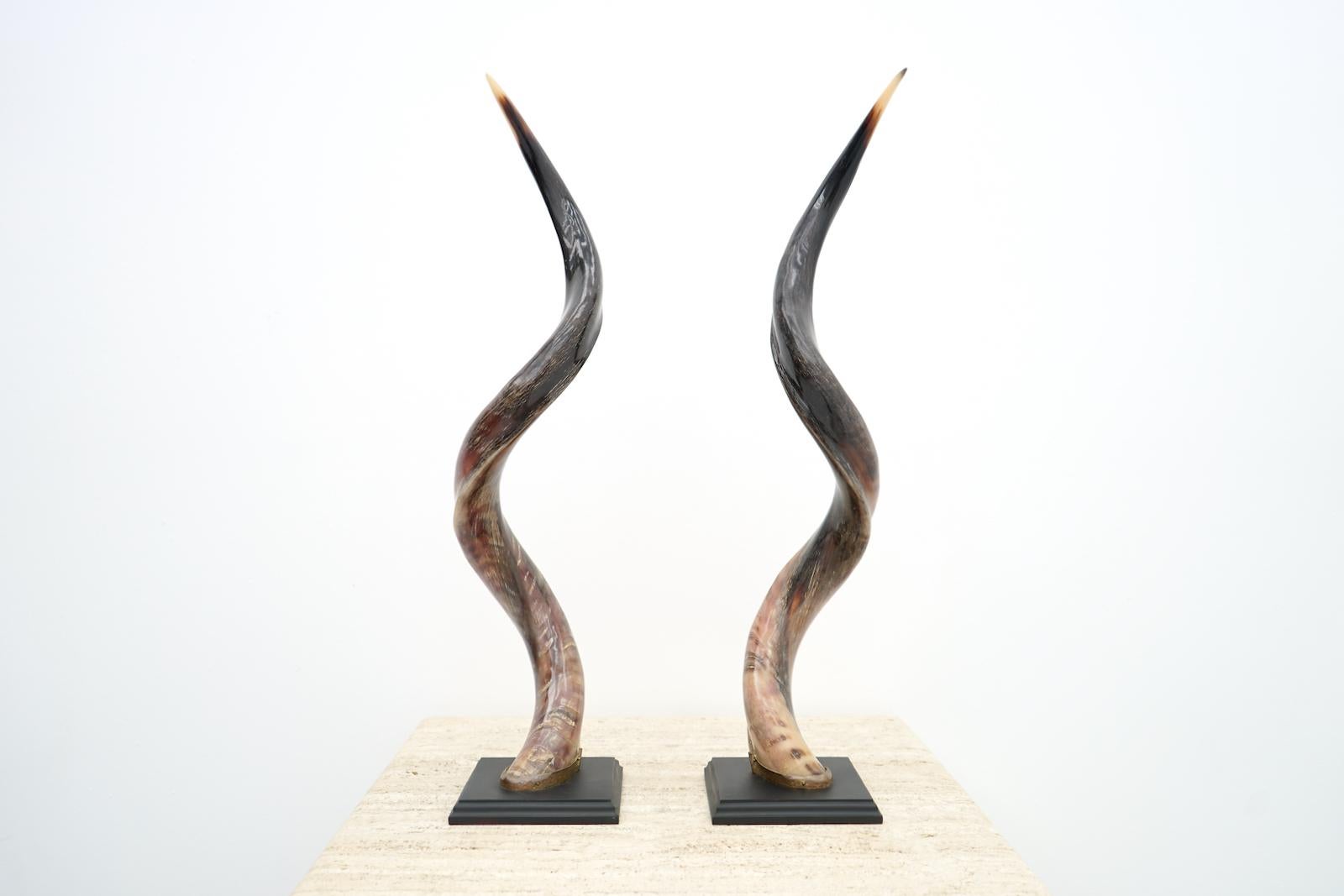 Pair of African Kudo Horn Sculpures 1