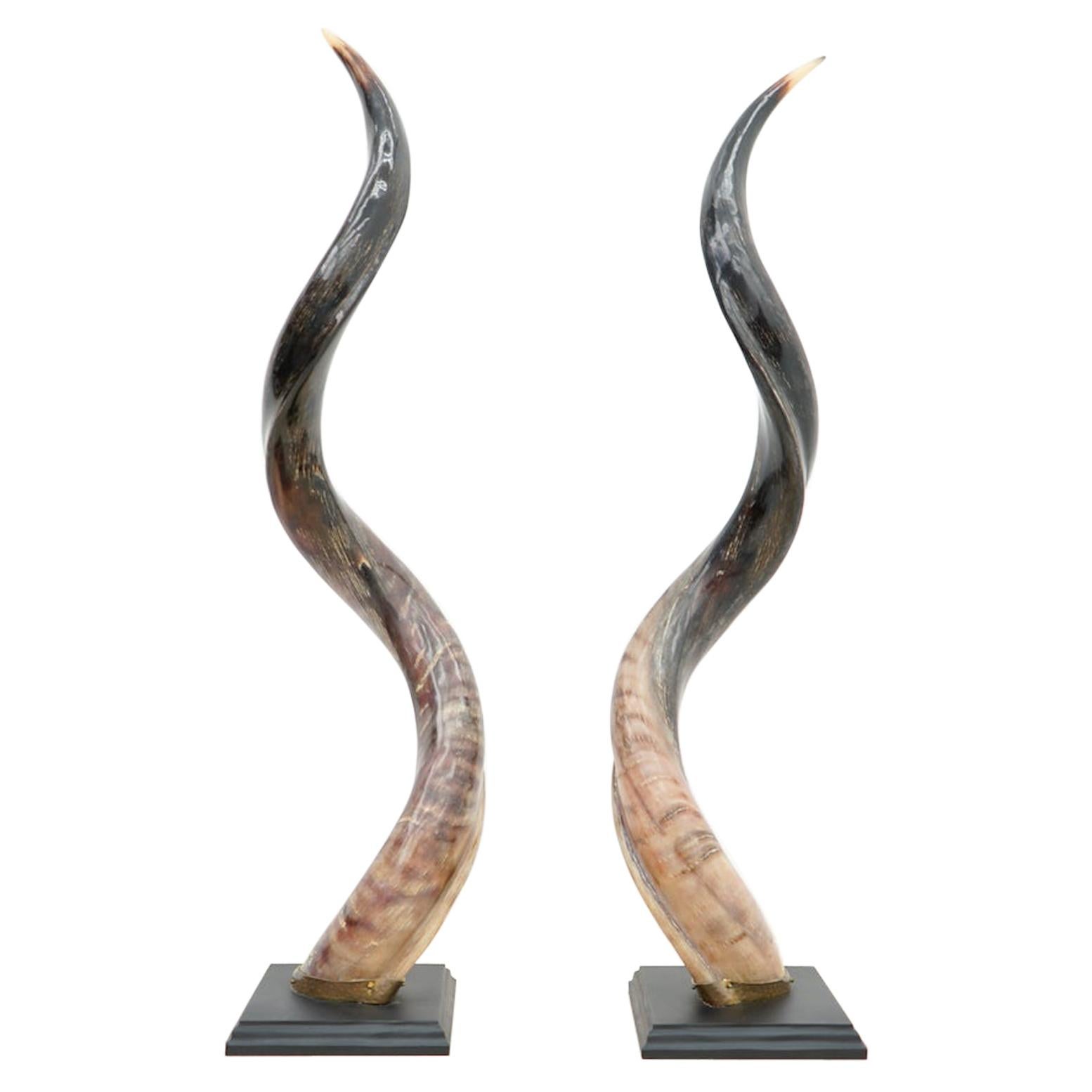 Pair of African Kudo Horn Sculpures