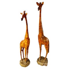 Coppia di sculture africane di dimensioni naturali in legno nobile raffiguranti giraffe 