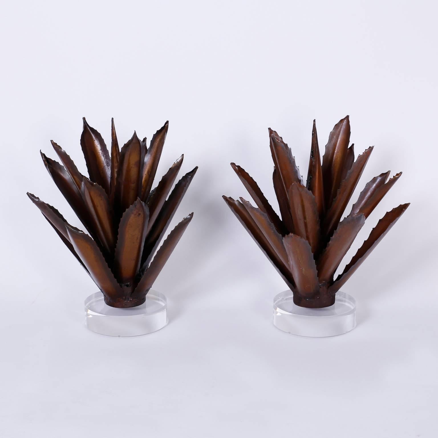 Pair of brutalist Agave sculptures or garnitures with a burnt oxidized patina presented on Lucite stands.
   