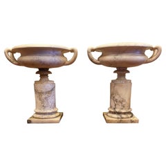Pair of Alabaster Handled Tazza on Plinth
