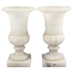 Pair of Alabaster Urns
