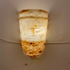Pair of Amber Acanthus Leaf Alabaster Sconces
