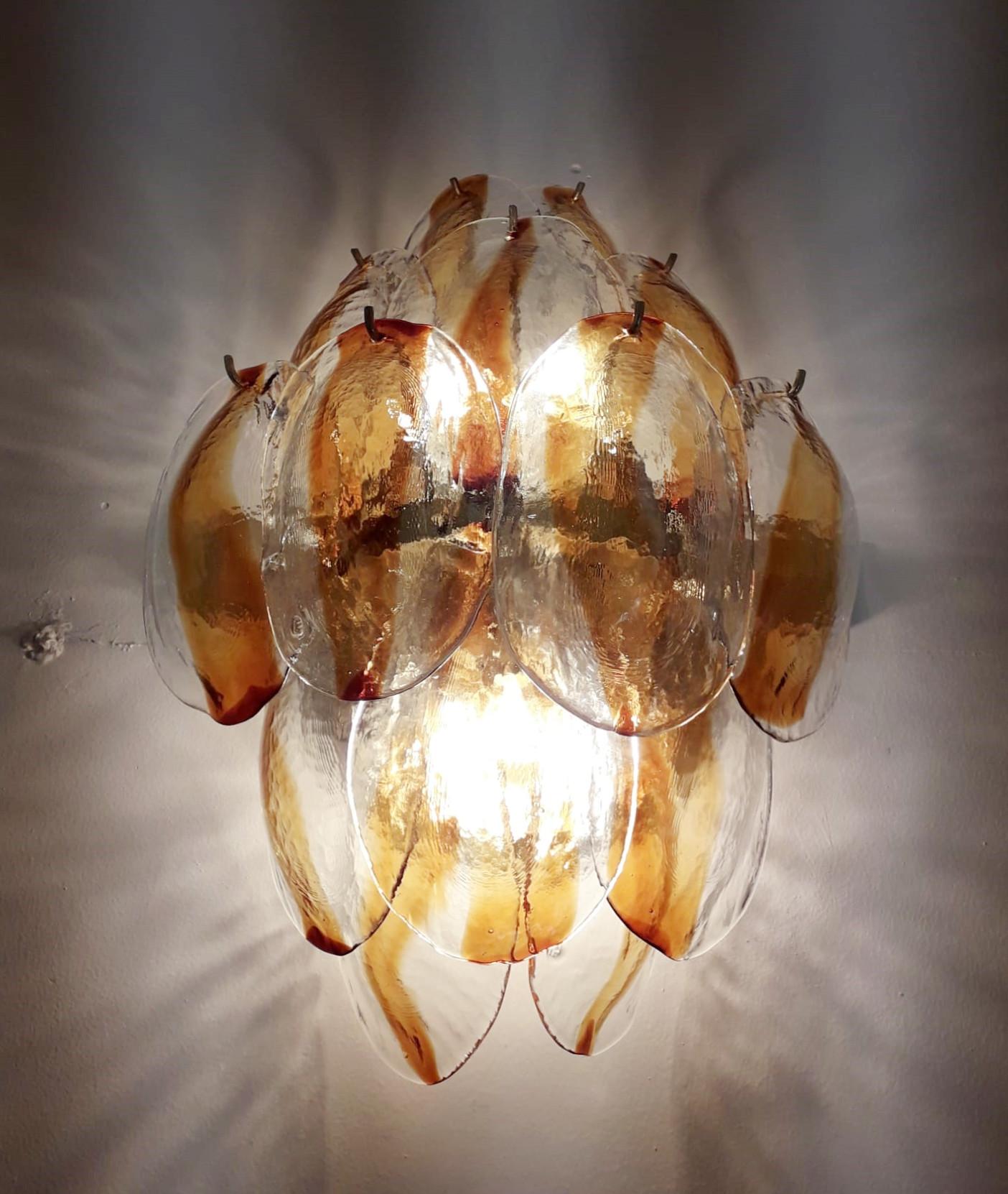 Pair of Amber Shells Sconces by La Murrina 1