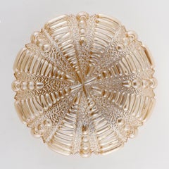 Pair of Amber Tone Flushmount Lights or Sconces, 1960s