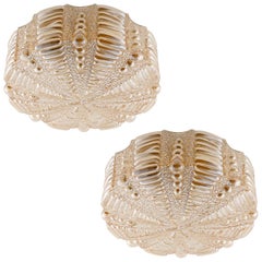 Pair of Amber Tone Flush Mount Lights or Sconces, 1960s