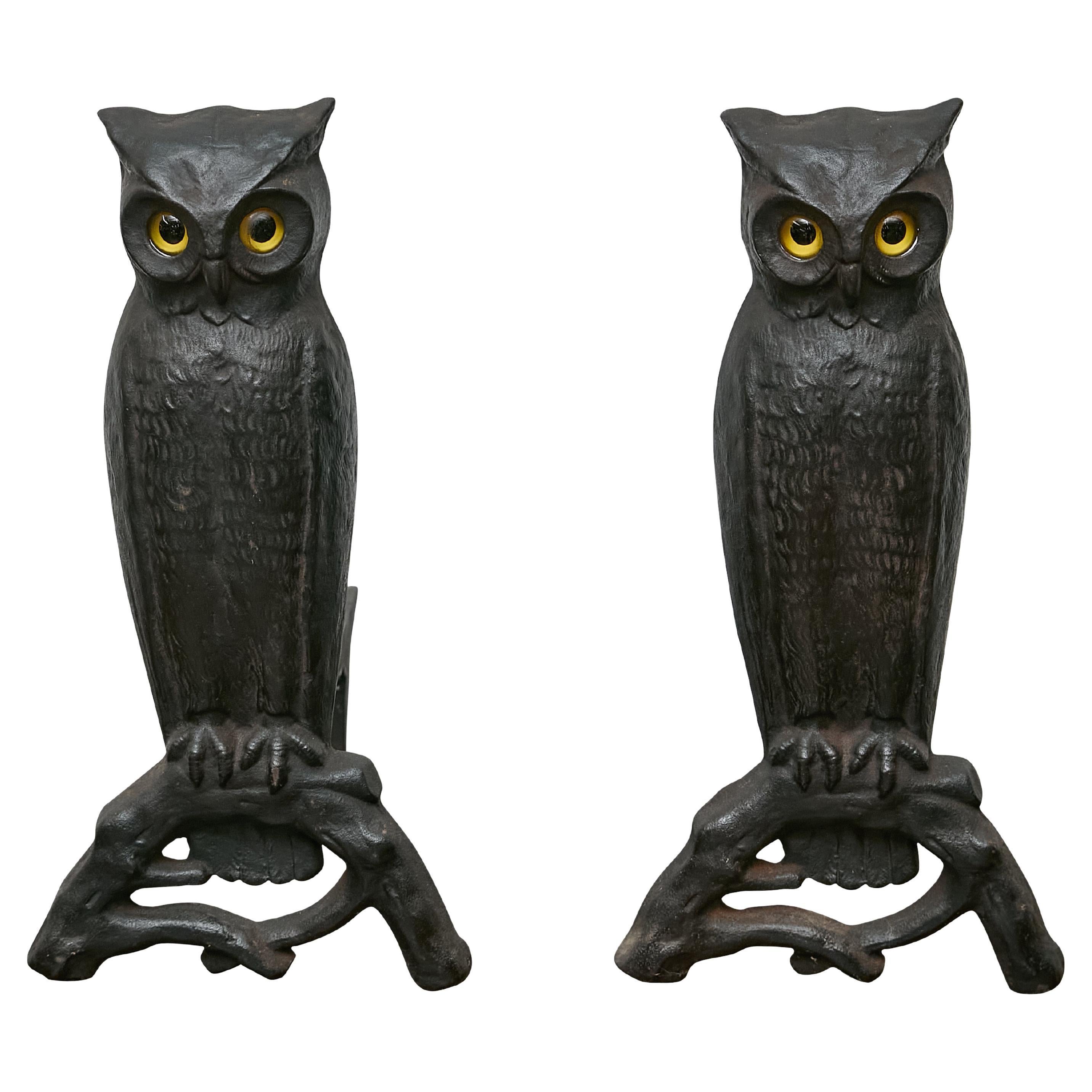 Pair of American Cast Iron Owl Andirons with Glass Eyes, circa 1900