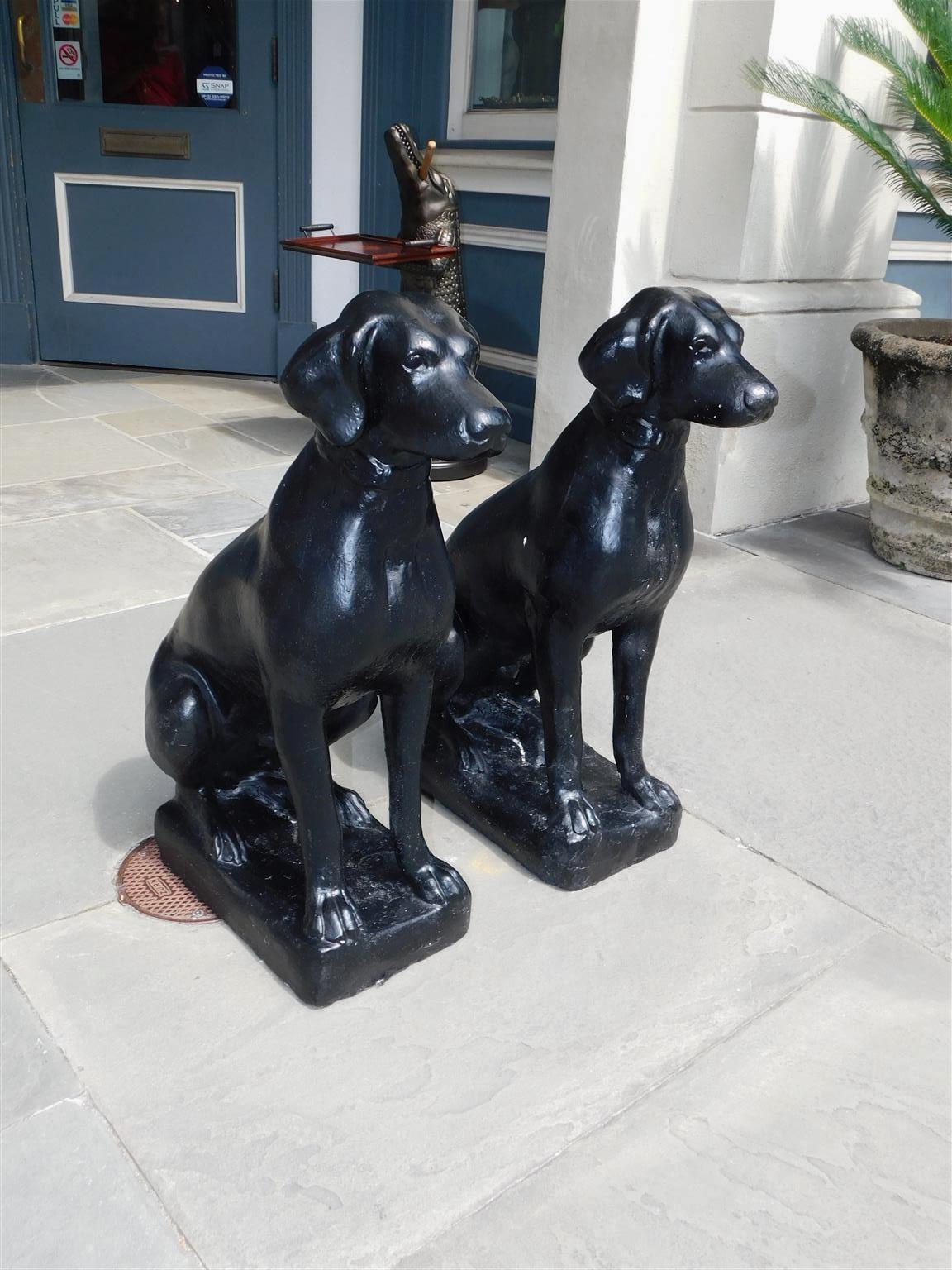 Pair of American cast stone and painted Labrador dogs in sitting position resting on flanking rectangular plinths. Plinth measurements are 9