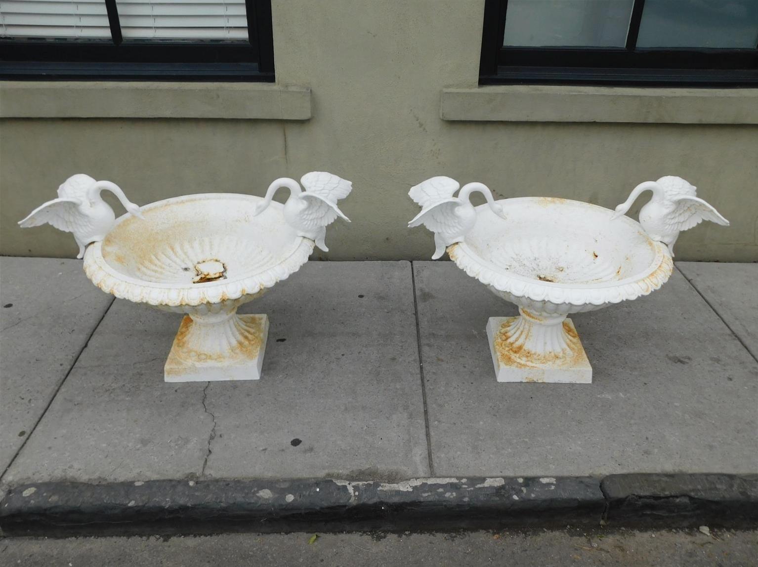 Pair of American Campana form powered coated garden urns with flanking swans perched on egg & dart borders and resting on fluted splayed ringed squared bases, Mid 19th Century. Urns are 13