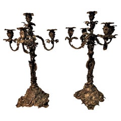 Pair of American Rococo Revival Patinated Bronze Candelabras, Ca. 1825