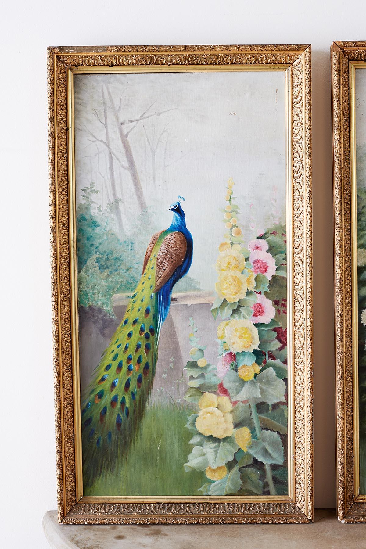 Oiled Pair of American School Peacock Paintings, 20th Century
