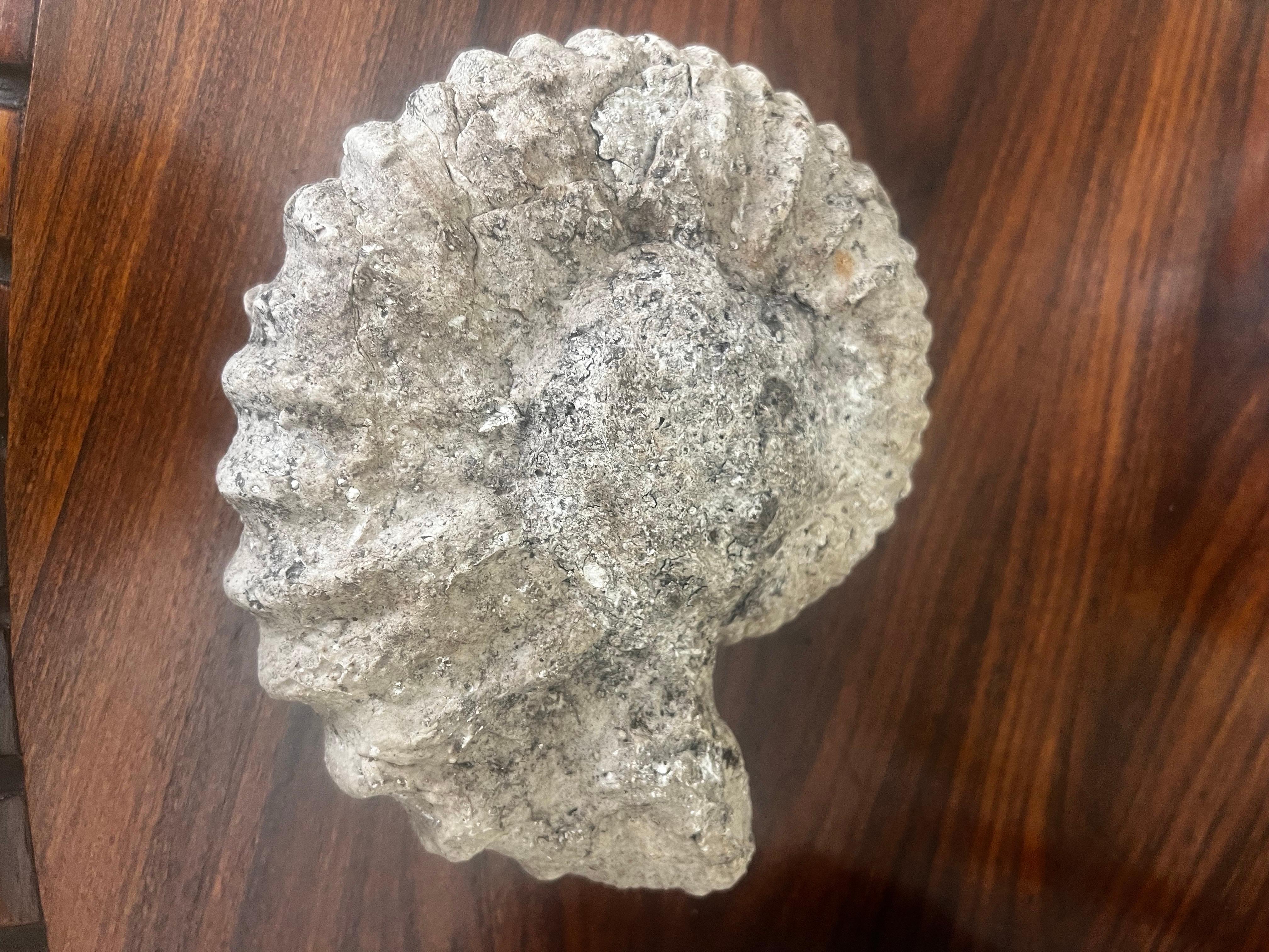 Canadien Paire de fossiles d'ammonites en vente