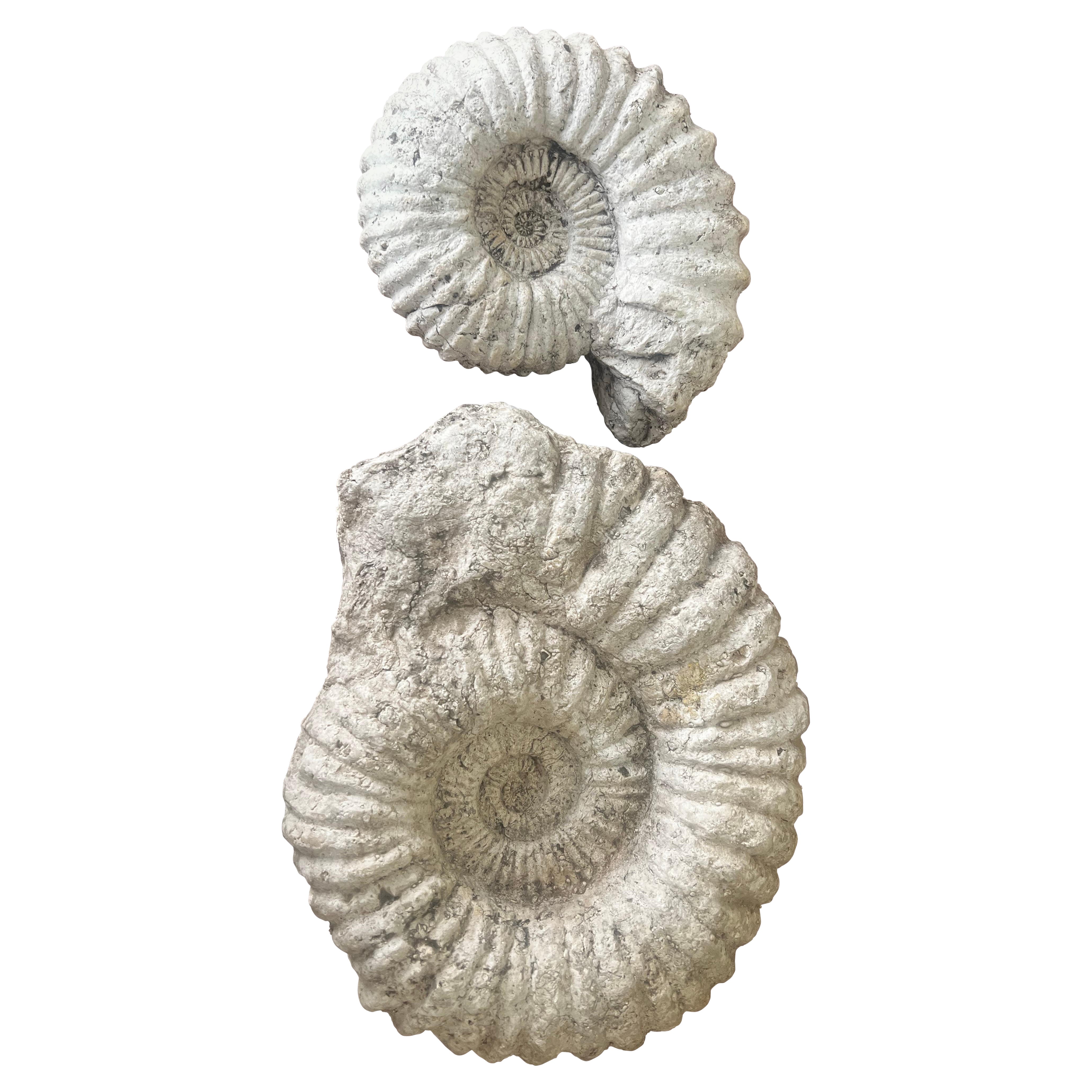 Prehistoric Decorative Objects