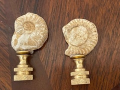 Pair of Ammonite Fossils Lamp Finials