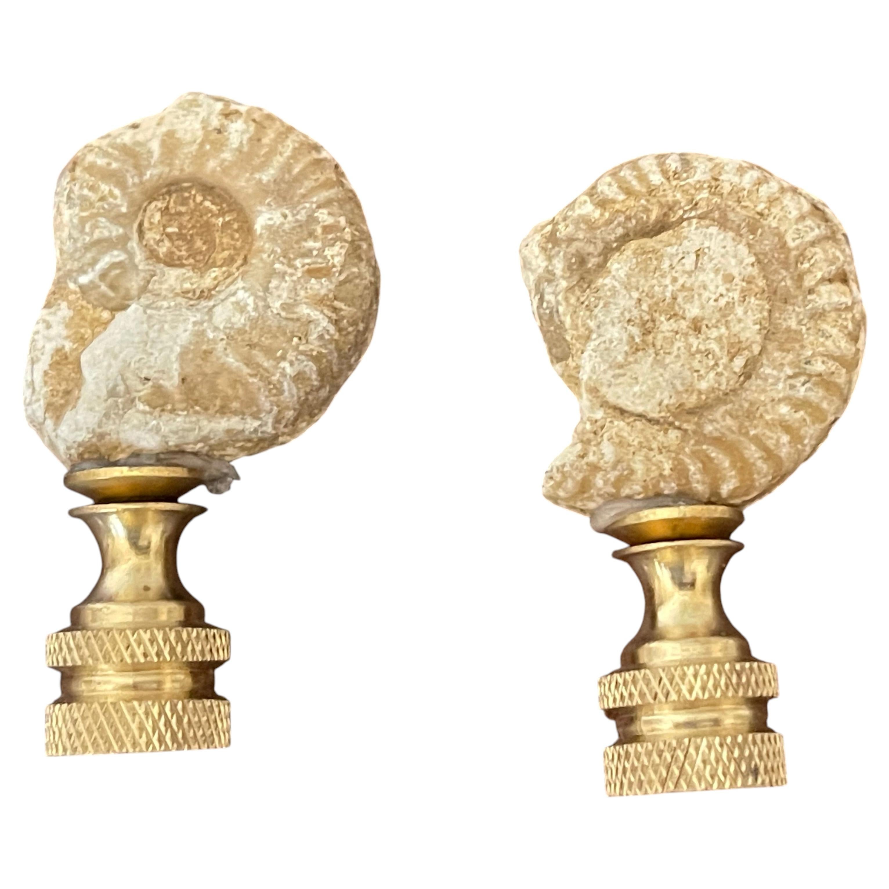 Paire d'embouts de lampe en fossiles d'ammonite