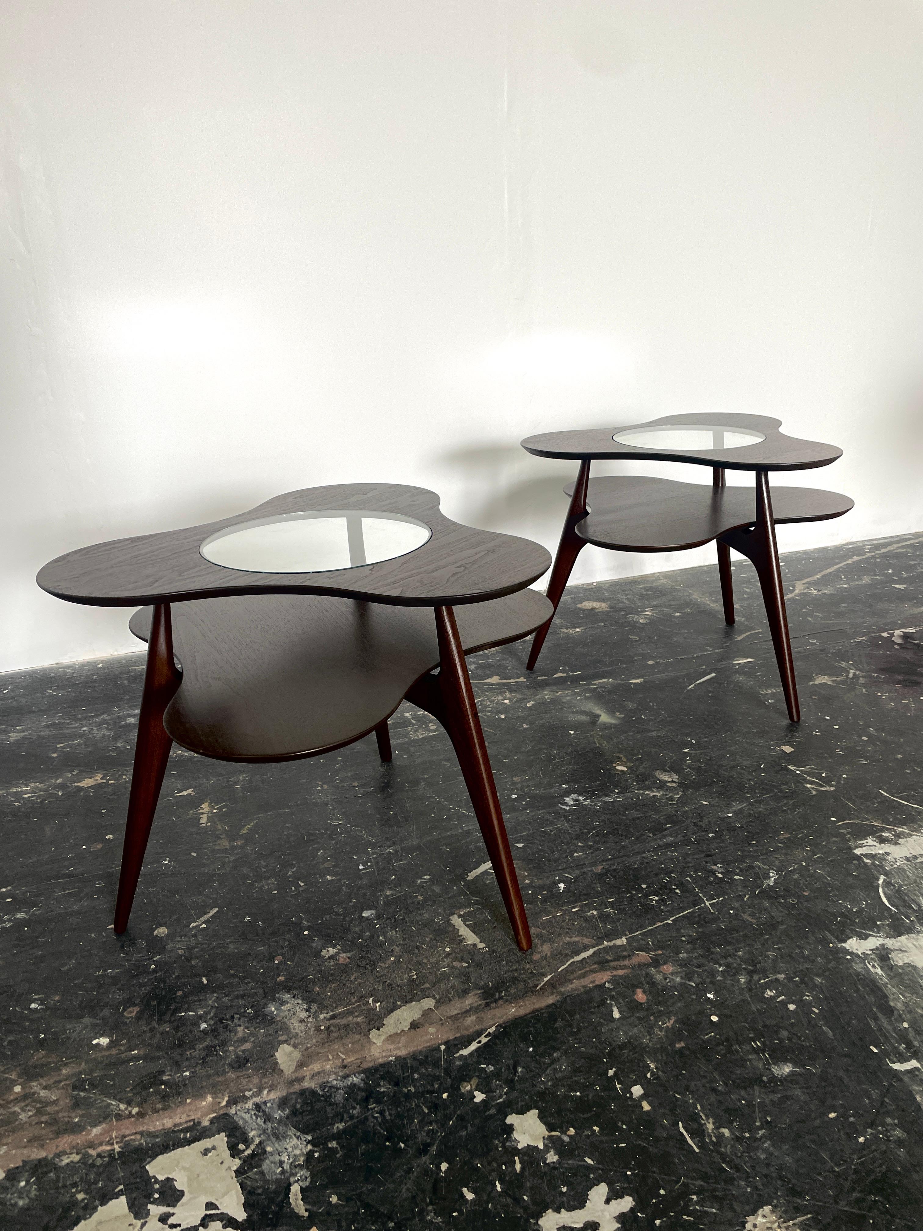 Mid-20th Century Pair of Amoeba Side Tables by Erno Fabry For Sale
