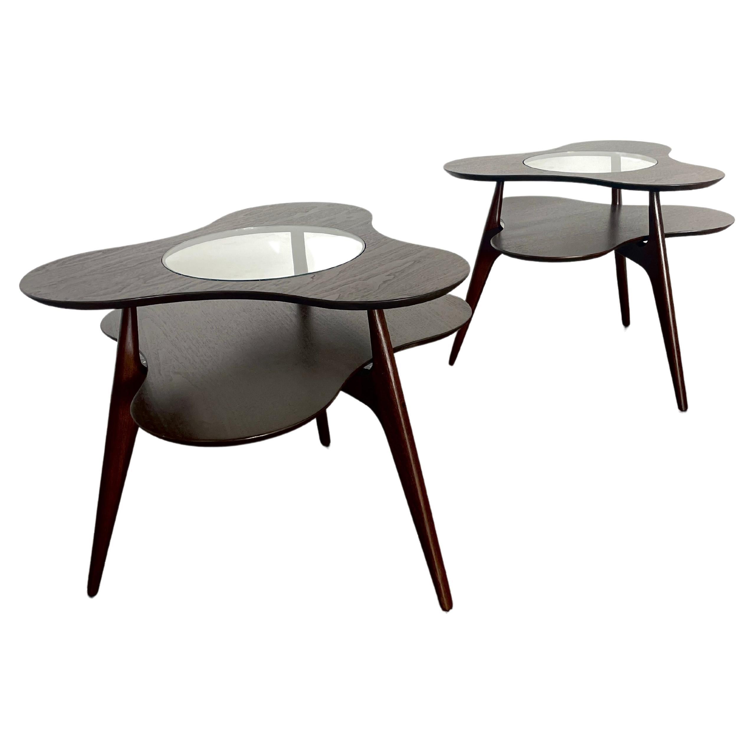 Pair of Amoeba Side Tables by Erno Fabry For Sale