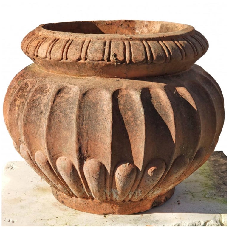 Baroque Pair of Ancient Original Cachepot in Terracotta Lucchese-Tuscany 19th Century For Sale