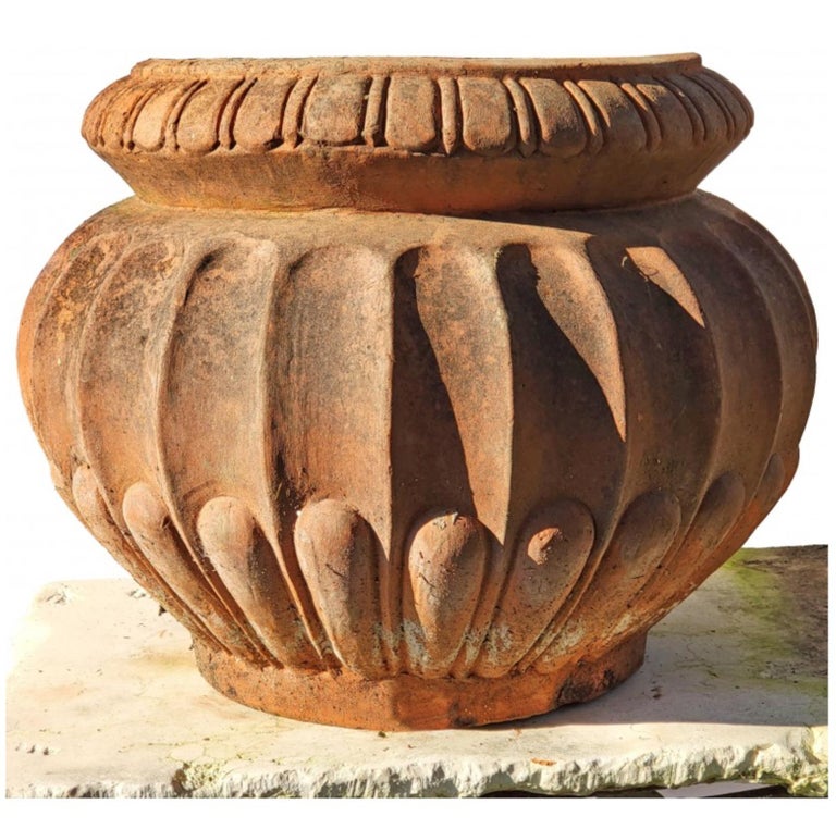 Italian Pair of Ancient Original Cachepot in Terracotta Lucchese-Tuscany 19th Century For Sale