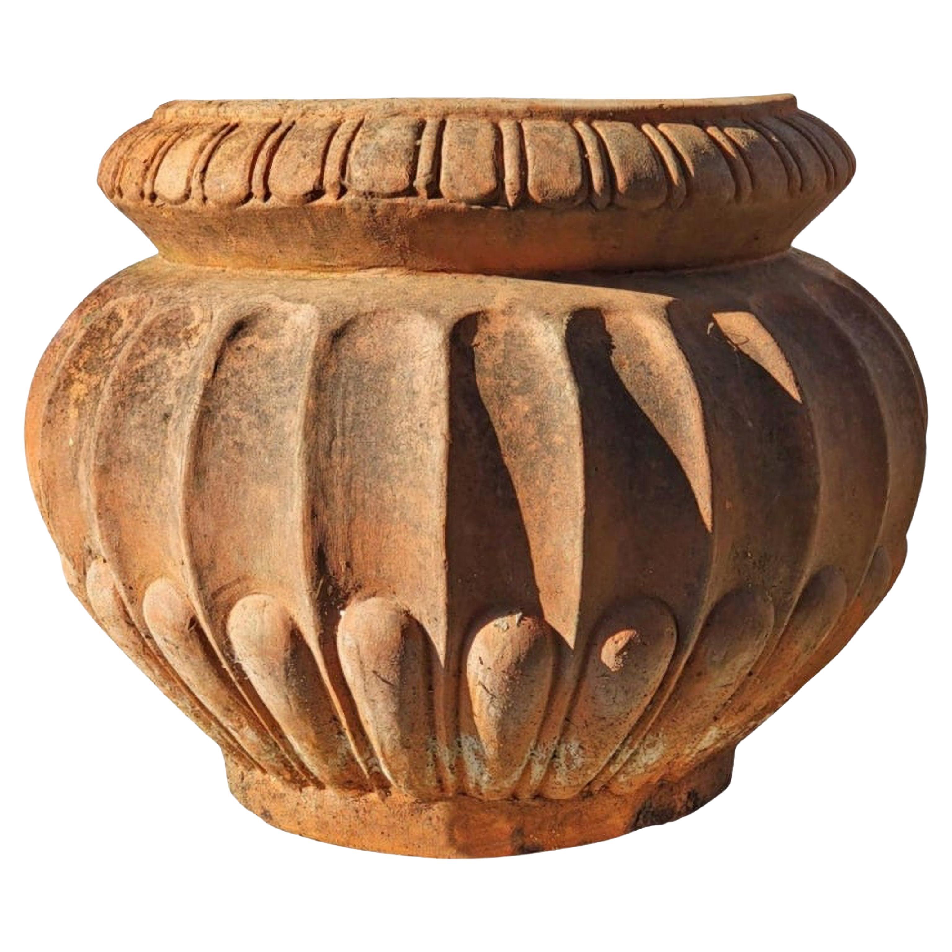 Paire d'anciens cache-pots originaux en terre cuite de Lucquese-Tuscane du 19ème siècle