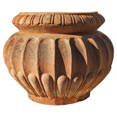 Pair of Ancient Original Cachepot in Terracotta Lucchese-Tuscany, 19th Century