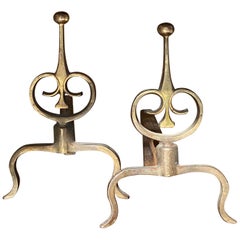 Pair of Andirons in Cast Iron and Bronze, France, 20th Century