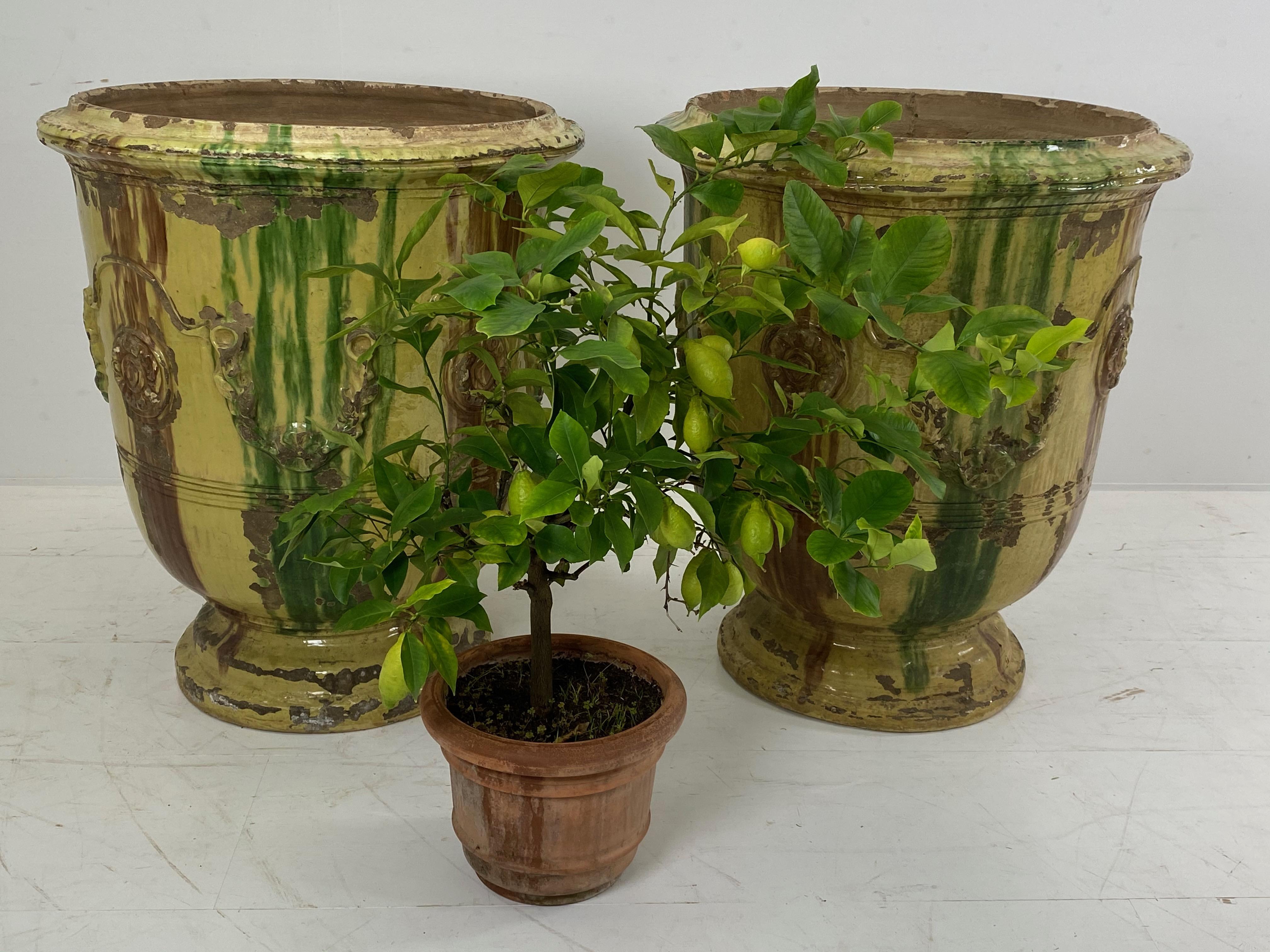 Pair of Anduze Terracotta Planters 4