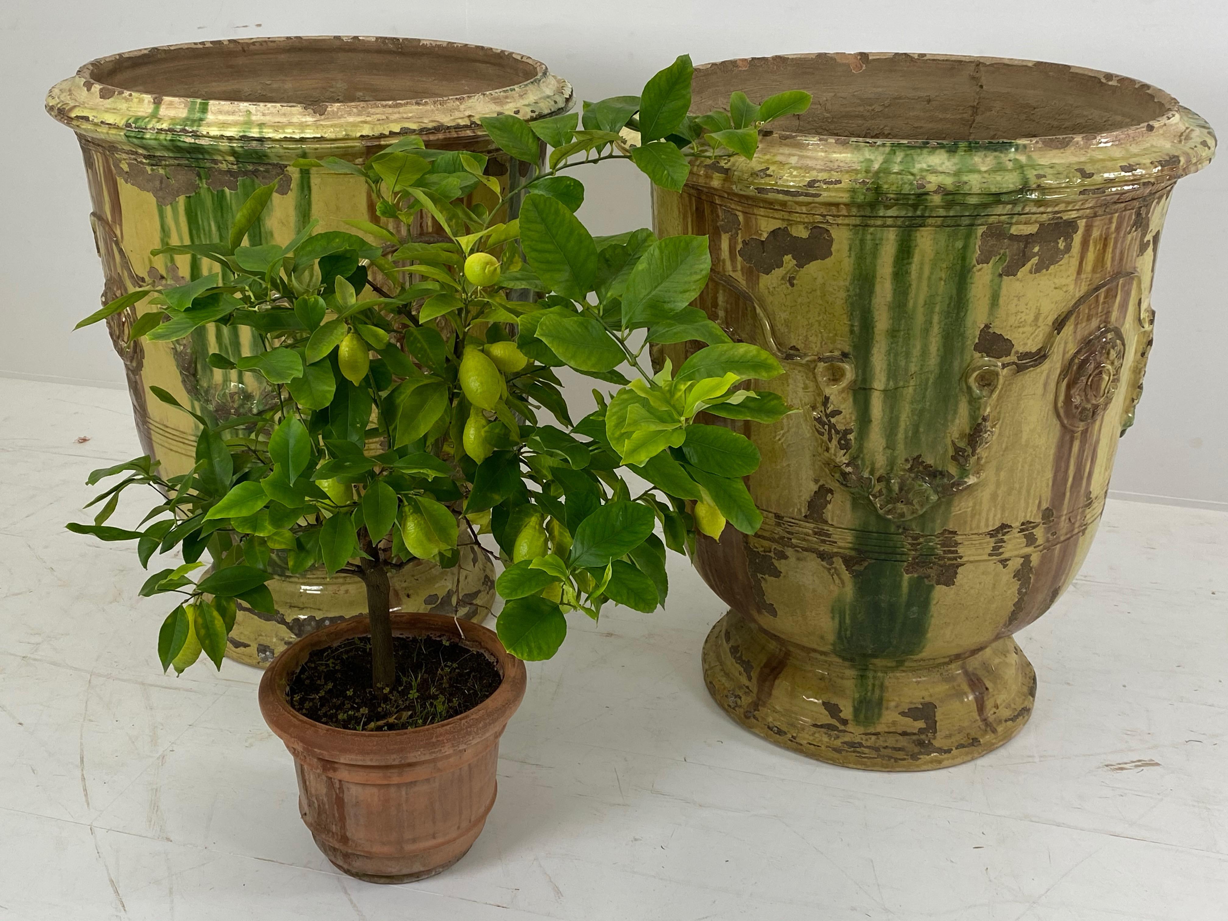Pair of Anduze Terracotta Planters 7