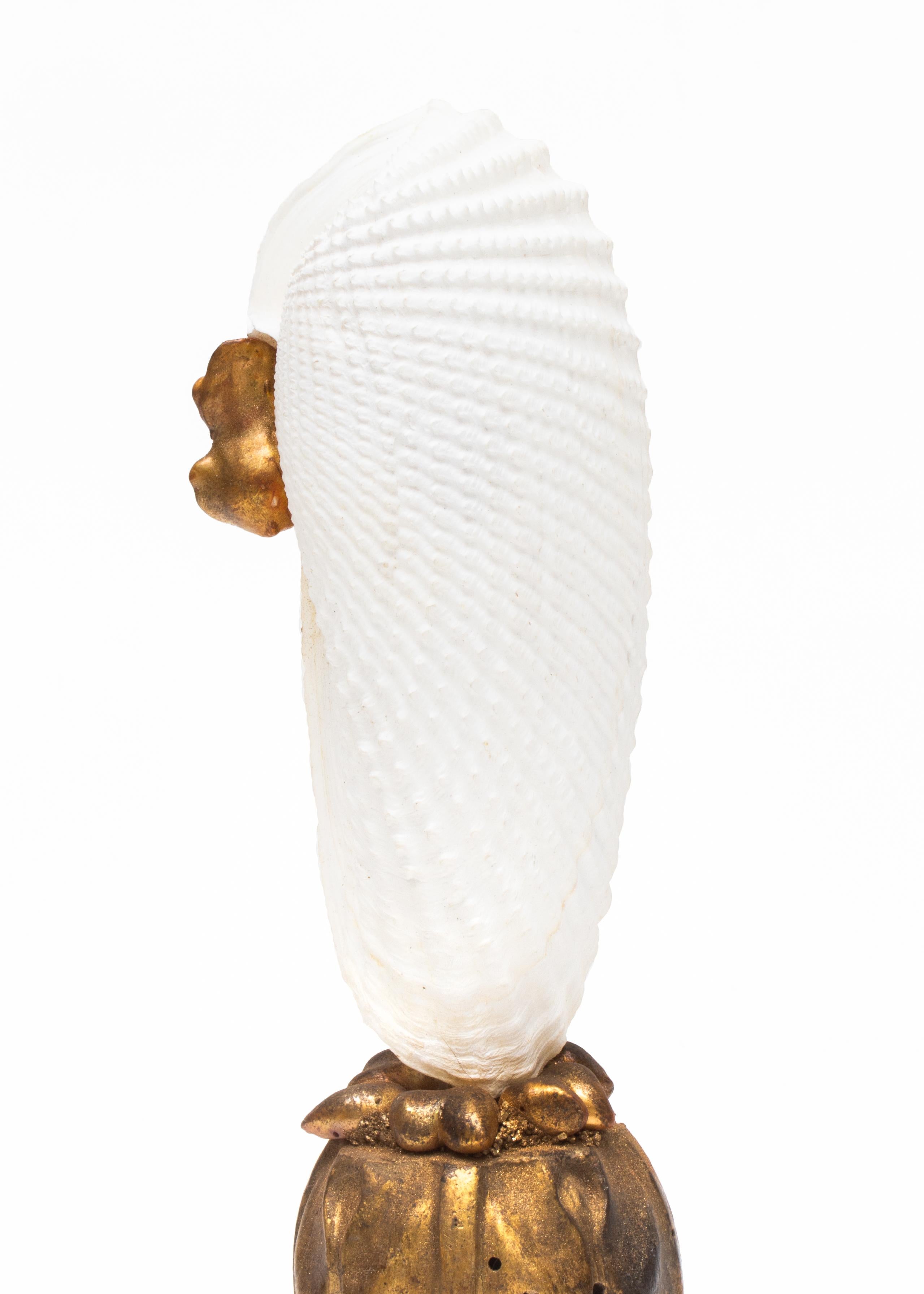 Pair of Angel Wing Shells on 18th Century Gold Leaf Bases with Baroque Pearls 3