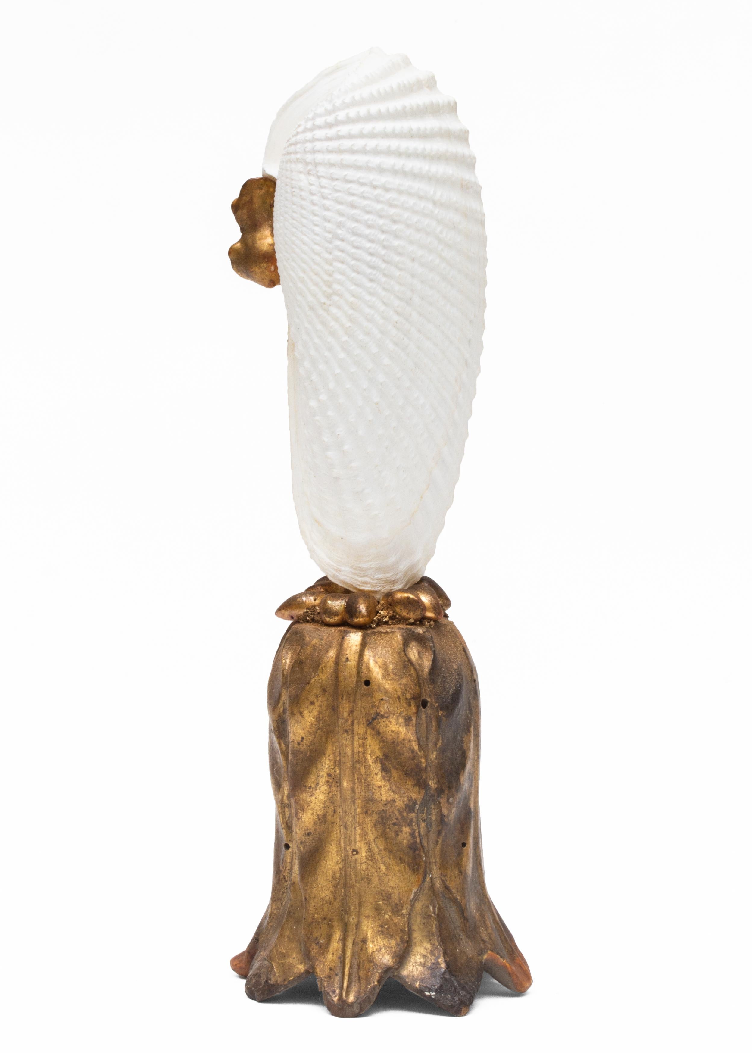 Wood Pair of Angel Wing Shells on 18th Century Gold Leaf Bases with Baroque Pearls