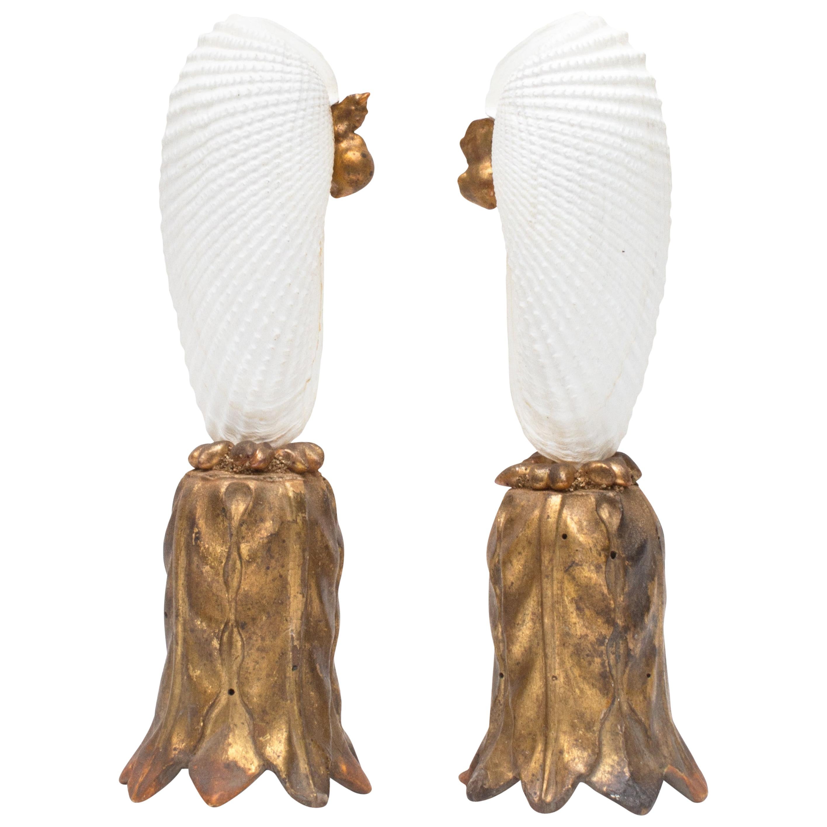 Pair of Angel Wing Shells on 18th Century Gold Leaf Bases with Baroque Pearls