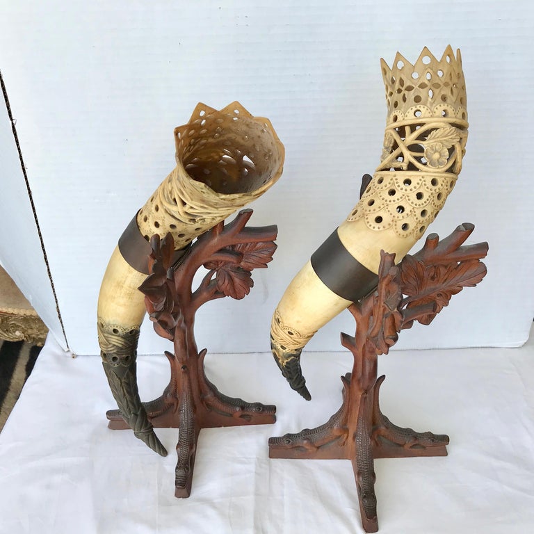 Pair of AngloIndian Mounted Steer Horns For Sale at 1stDibs