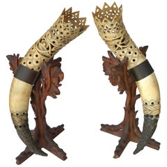 Pair of Anglo-Indian Mounted Steer Horns