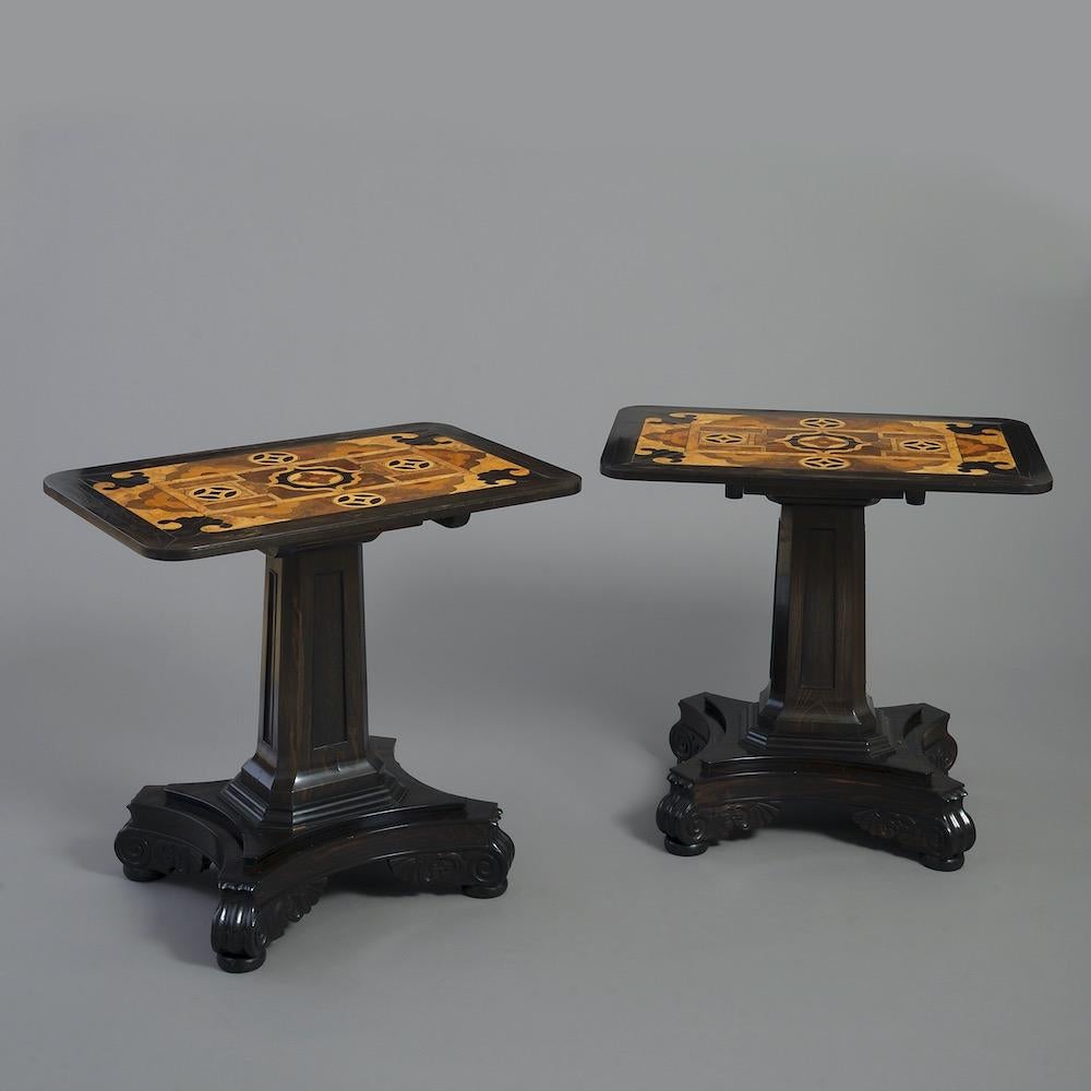 A rare pair of Anglo-Indian specimen wood and ebony tables, circa 1830.

The rounded rectangular tops inlaid with palmwood, satinwood, and various exotic timbers.