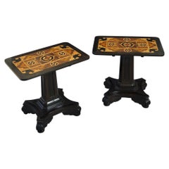 Pair of Anglo-Indian Specimen Wood Tables