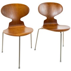 Pair of Ant, Model 3101, in Teak, Designed by Arne Jacobsen