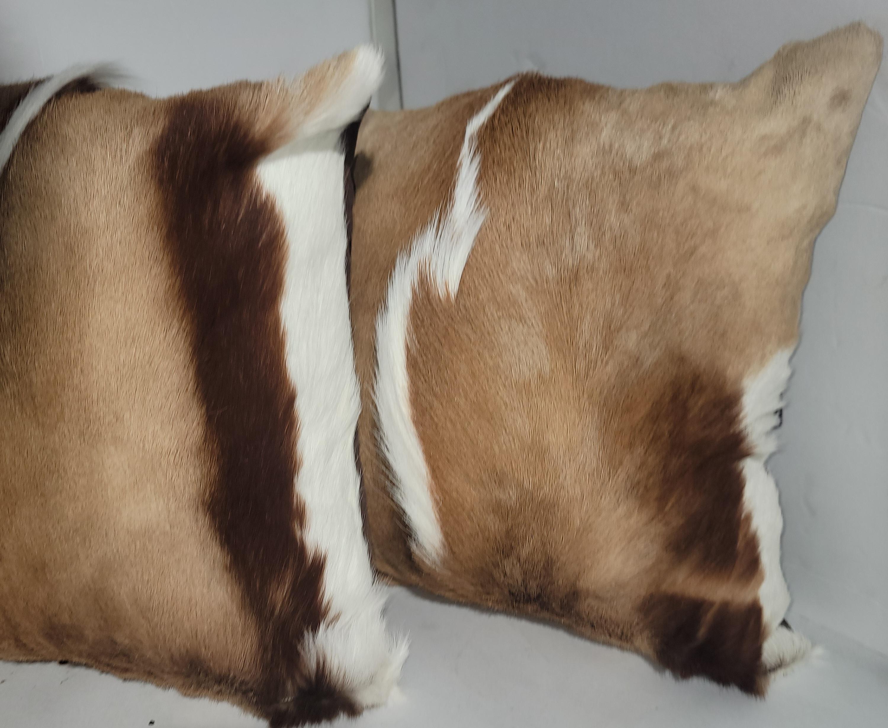 Questi cuscini in pregiata pelle di cervo o antilope hanno il retro in pelle di capretto e gli inserti sono in piuma e piumetta. Venduto in coppia.