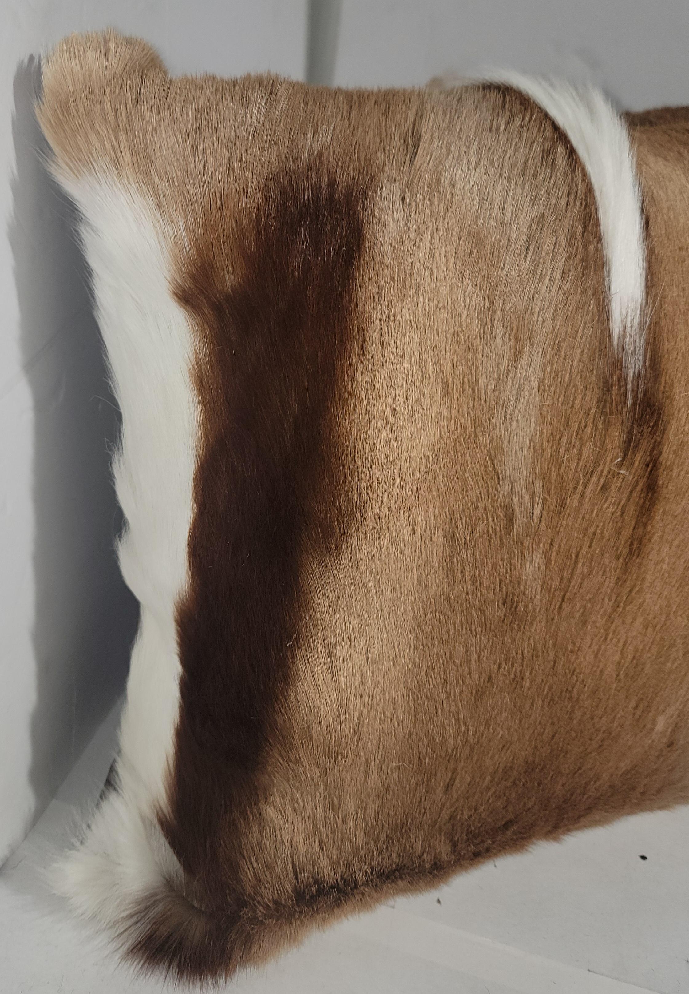 Americano Coppia di cuscini in pelle di antilope in vendita