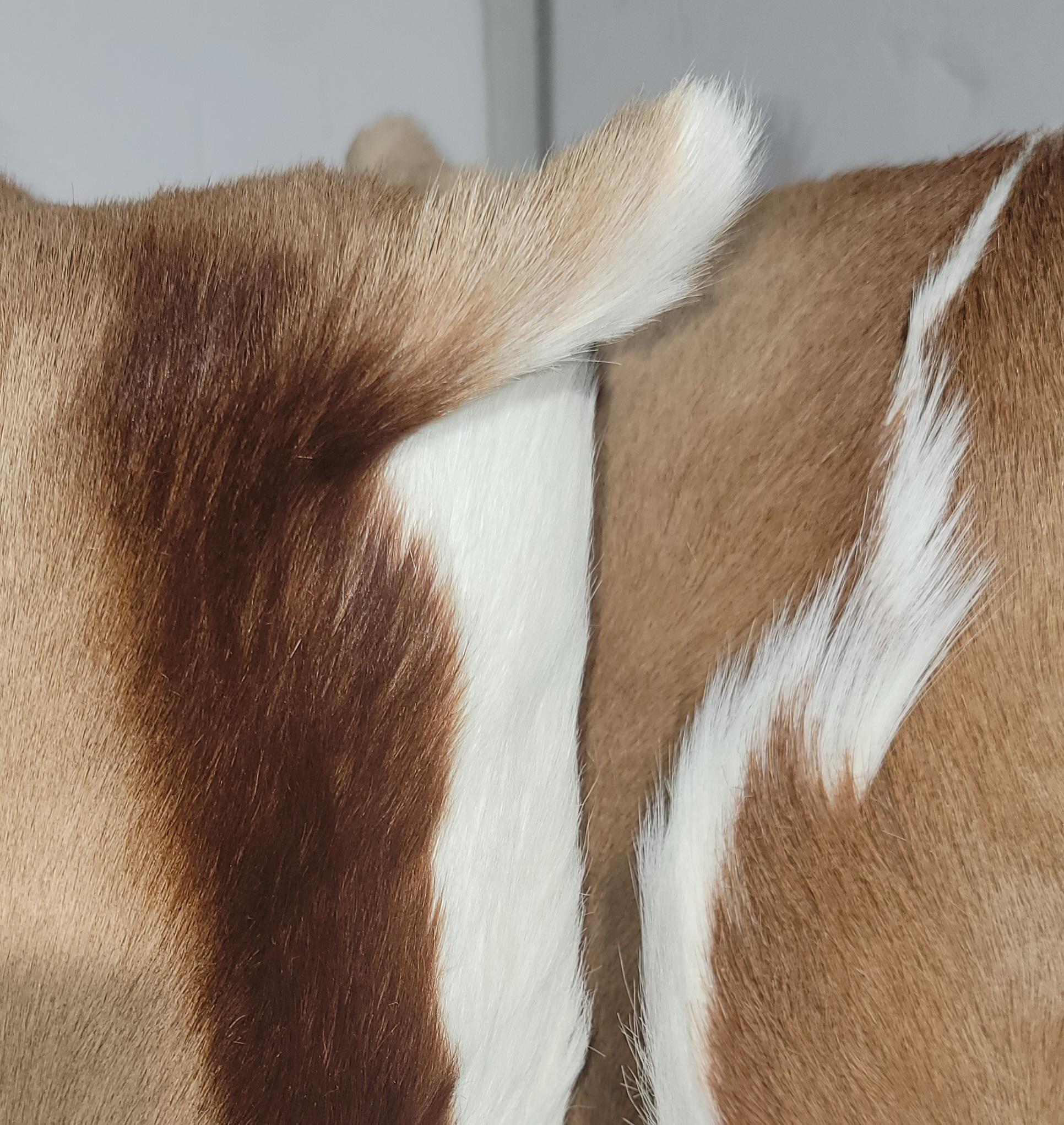 Fatto a mano Coppia di cuscini in pelle di antilope in vendita