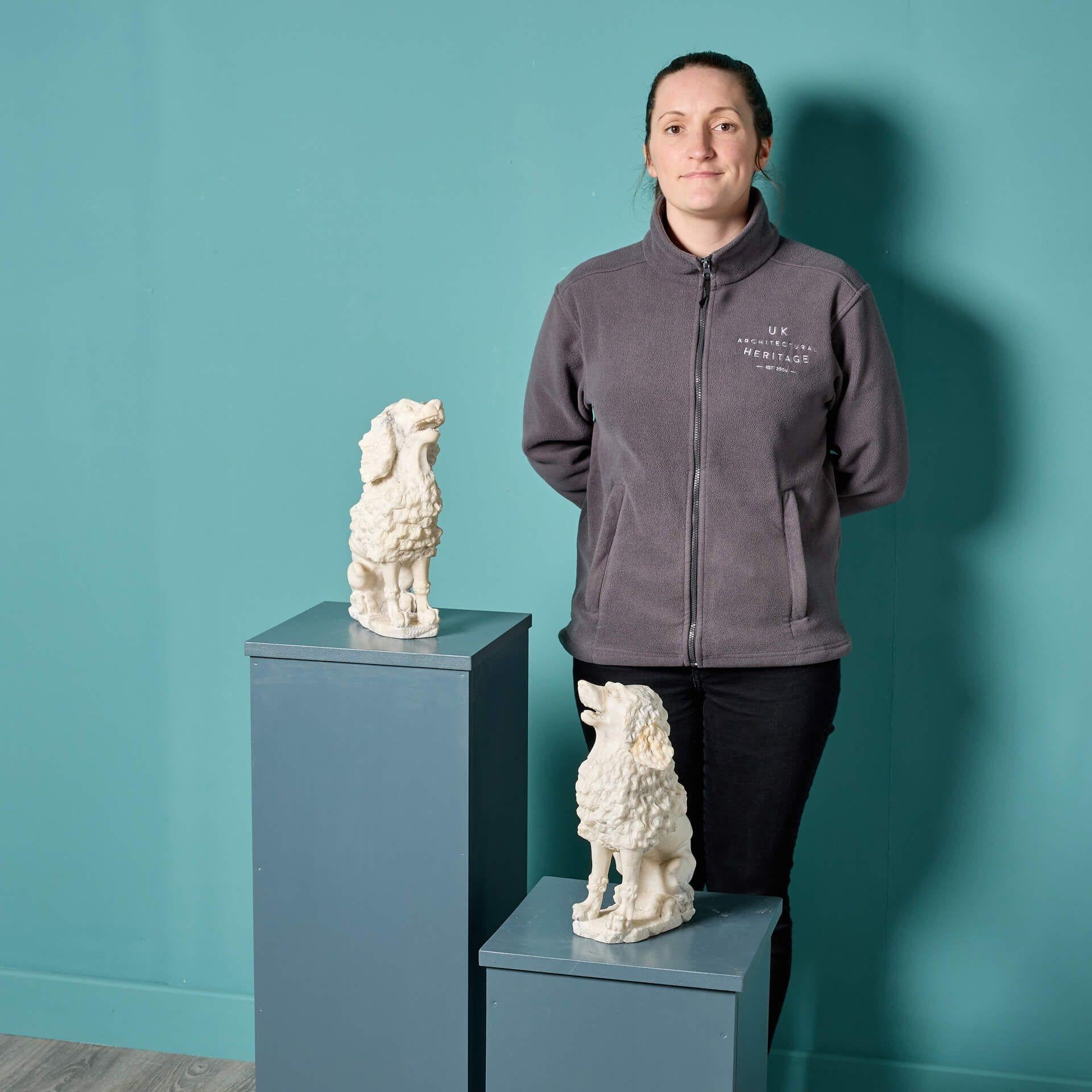 Paire de caniches en albâtre de la fin du XIXe siècle. Dans une position assise sophistiquée, ces statues frappantes constituent une paire décorative parfaite à exposer dans n'importe quelle maison. Le style italianisant est mis en valeur par le