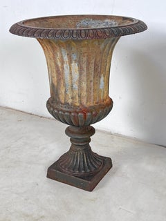 Pair of Antique 19th Century Cast Iron Neoclassical Garden Urns