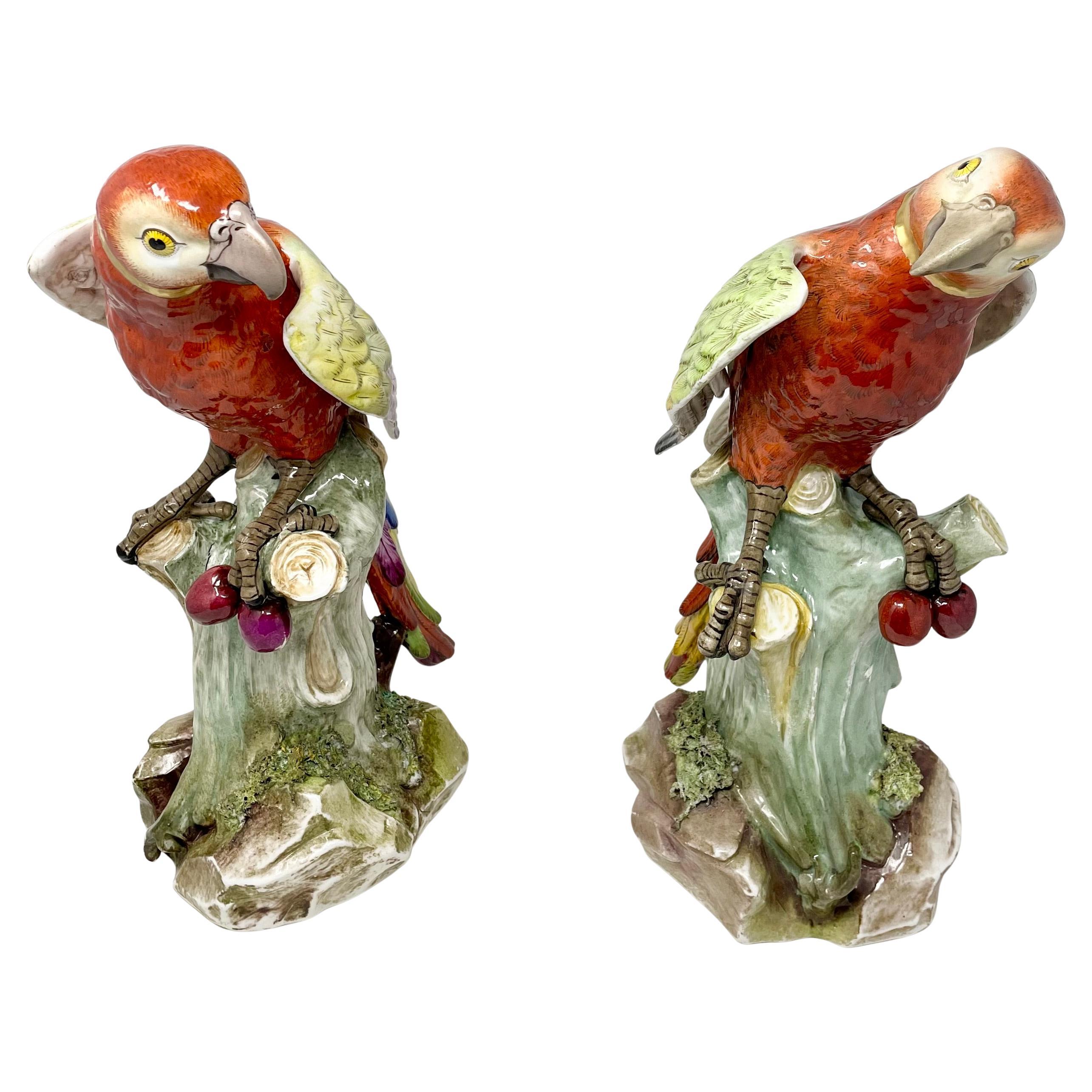 Europeo Coppia di statue di pappagalli multicolore in porcellana continentale del XIX secolo. in vendita