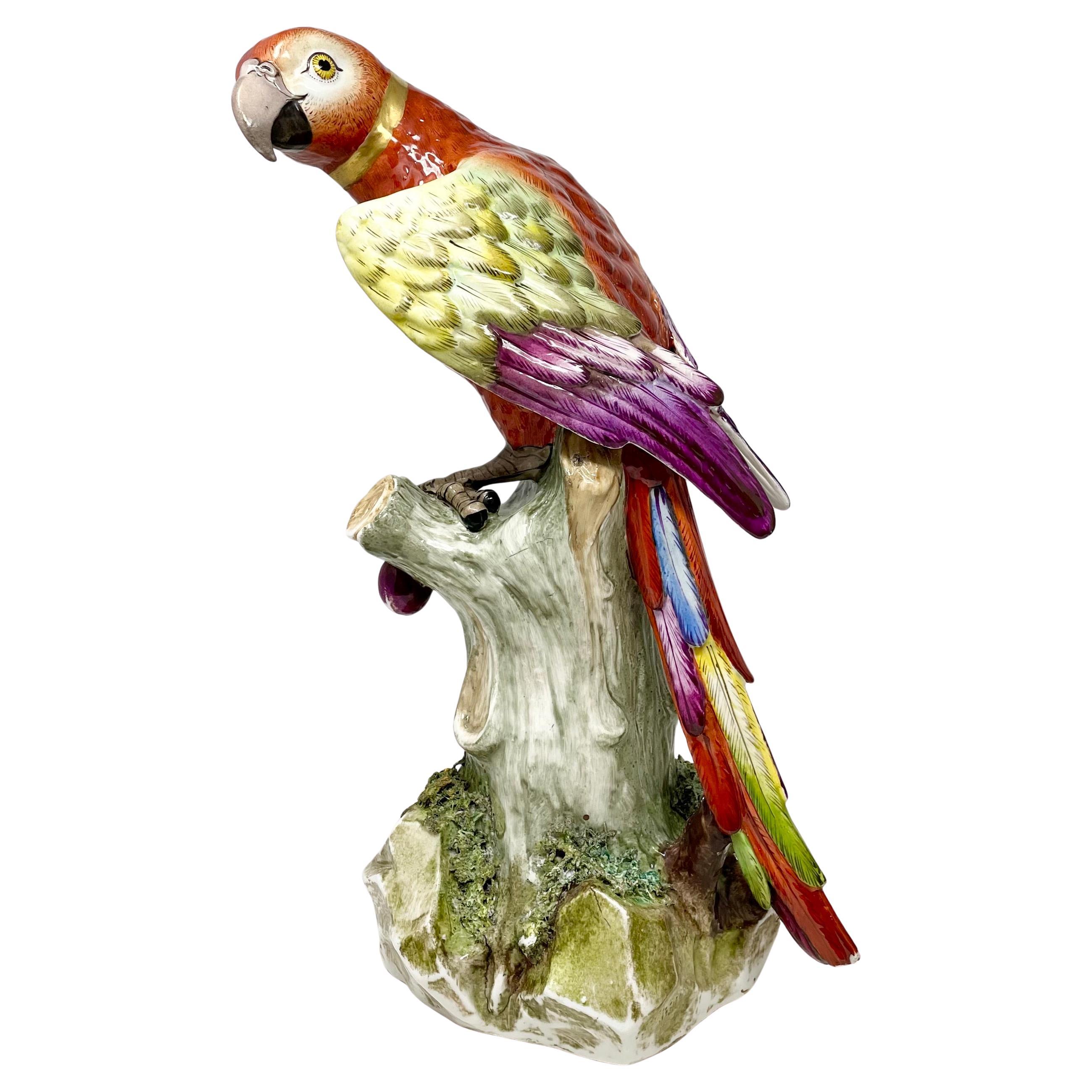 Porcellana Coppia di statue di pappagalli multicolore in porcellana continentale del XIX secolo. in vendita