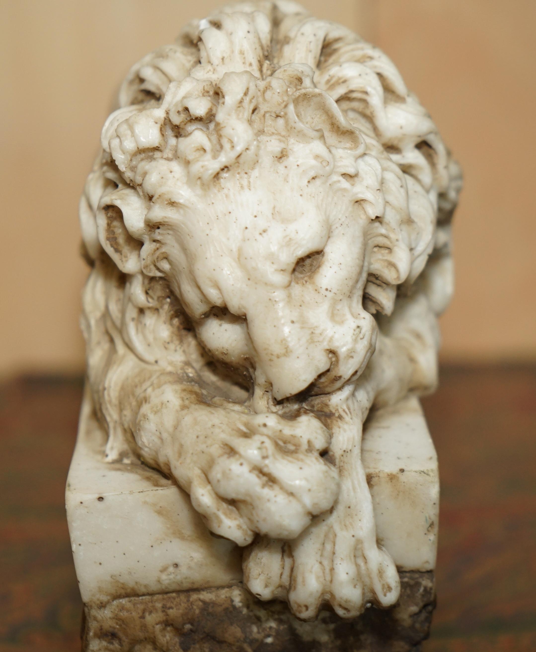 par de leones antiguos italianos del siglo xix antonio canova de la tumba del papa clemente en venta 8