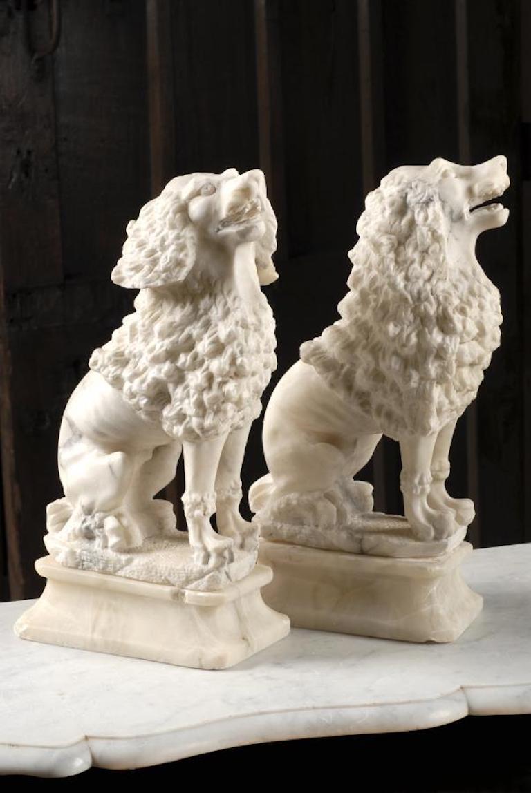 The seated dogs upon moulded and chamfered rectangular plinth bases.