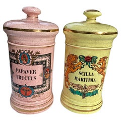 Pair of Vintage American Covered Apothecary Jars